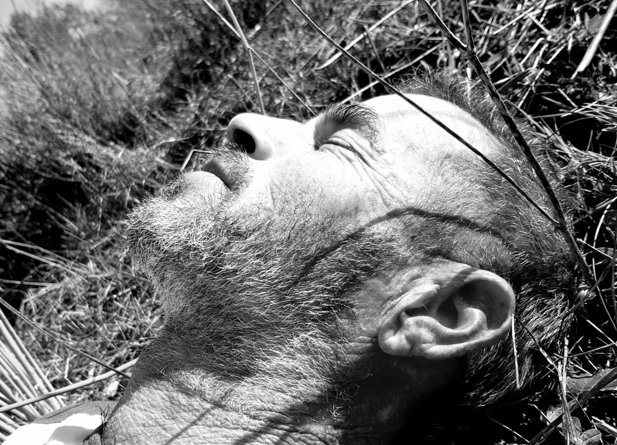 Kin Je – אוכל רחוב תאילנדי צמחוני