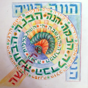 אור-נה רן