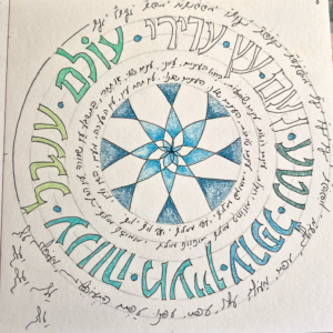 אלסי נחום